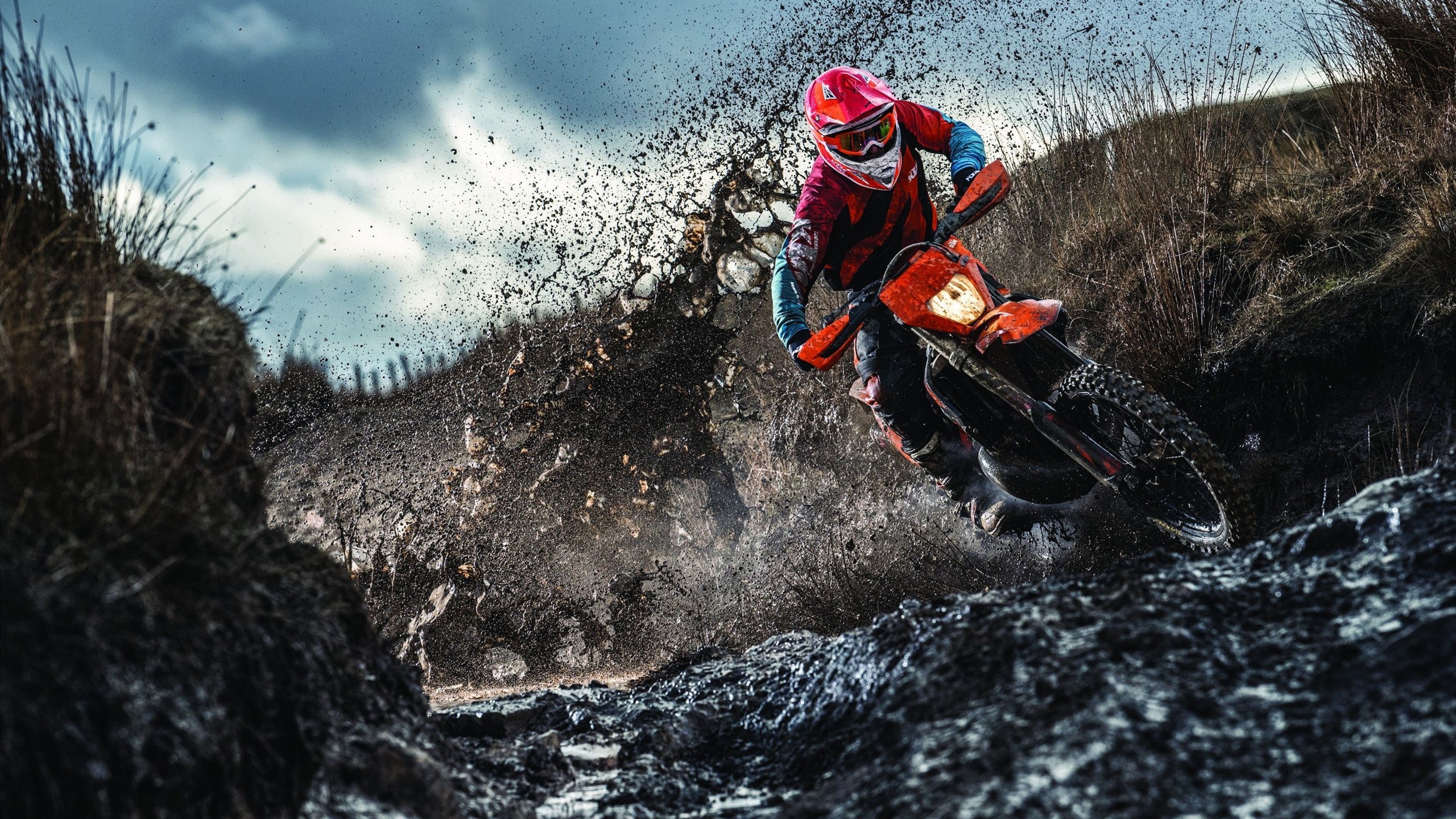 全英羽毛球公开赛 国羽实现五个项目全部闯入决赛 壮观场面重现